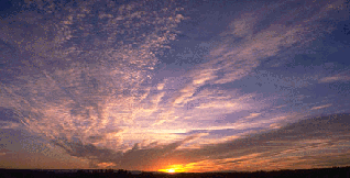 img2.gif